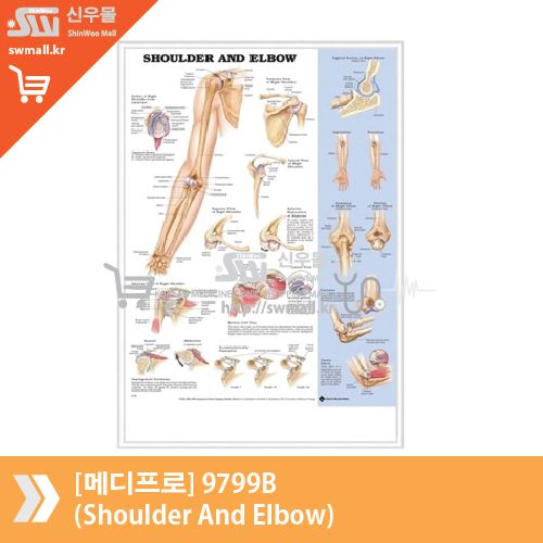 [메디프로]9799B(Shoulder And Elbow)