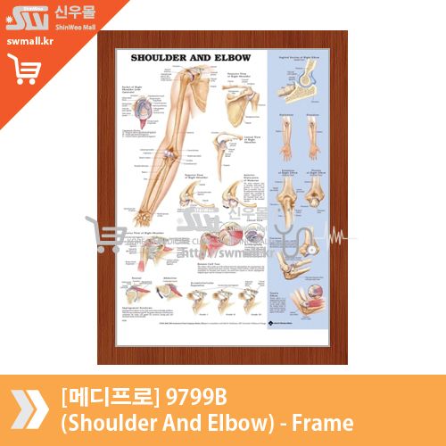 [메디프로]9799B(Shoulder And Elbow)