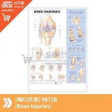 [메디프로]9872B(Knee Injuries)